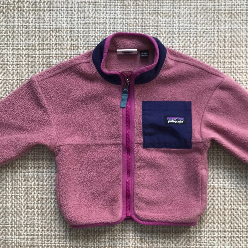 Patagonia fleece jacket